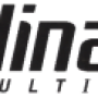 dinamic_multimedia_logo.png